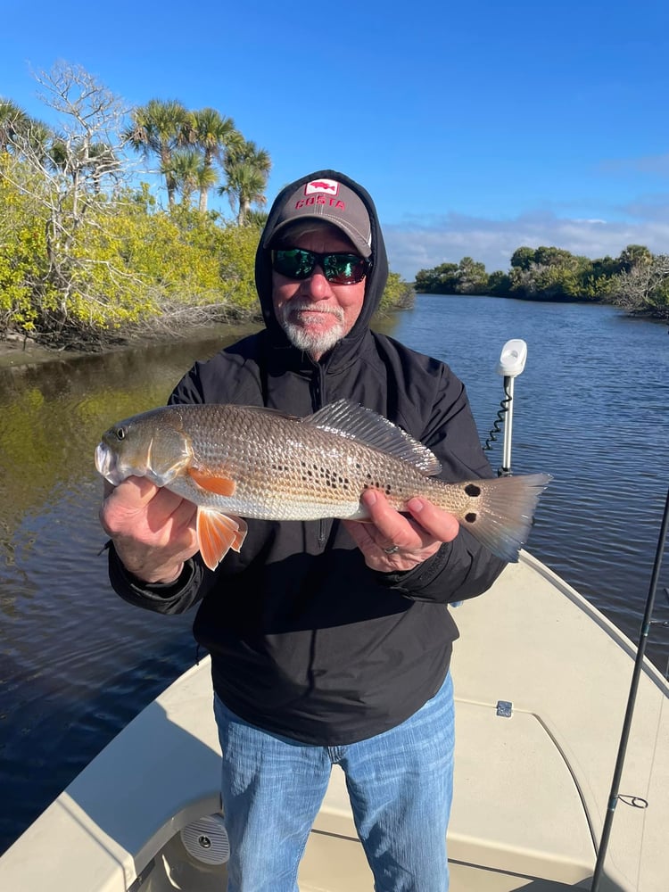 Palm Coast Inshore - 25' Dorado In Palm Coast