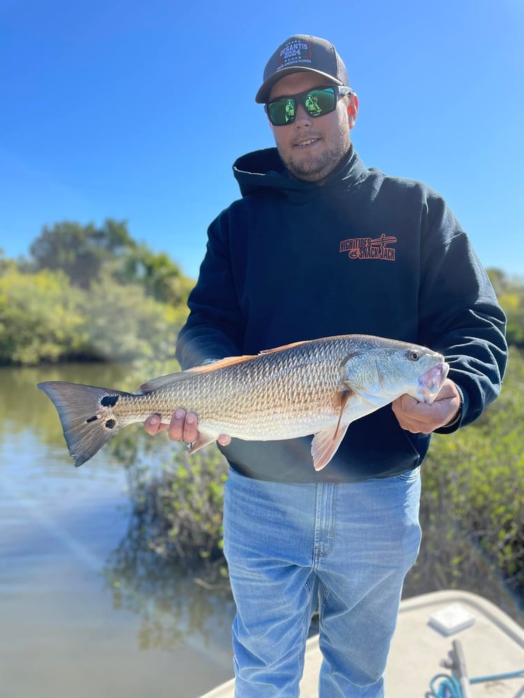 Palm Coast Inshore - 25' Dorado In Palm Coast