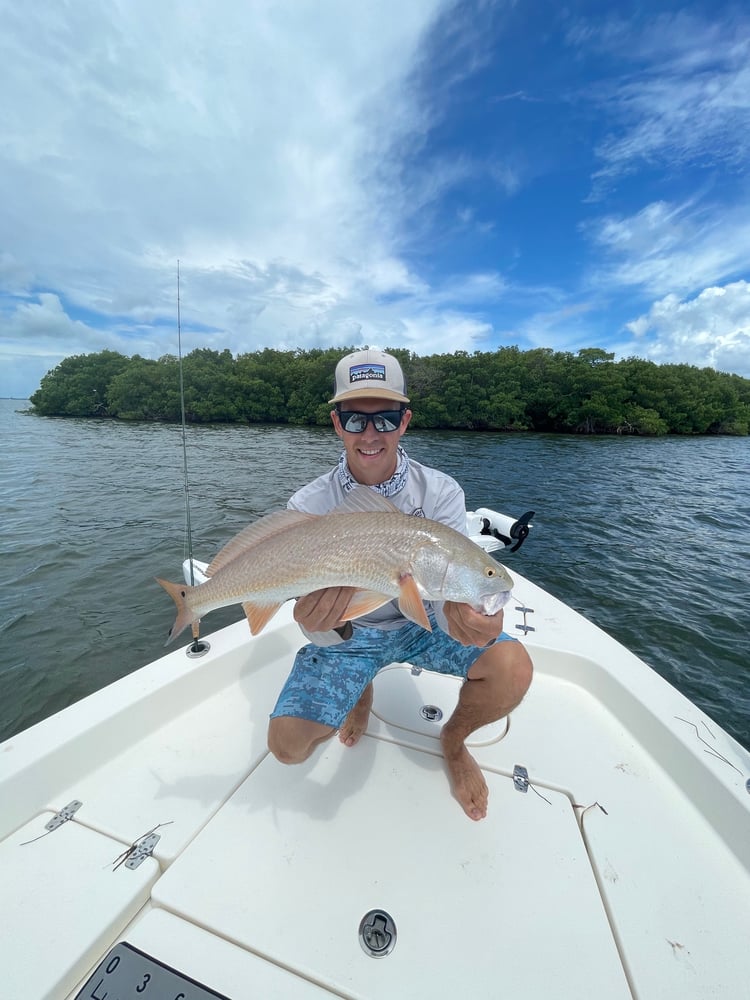 Pine Island Fishing And Shelling In Matlacha