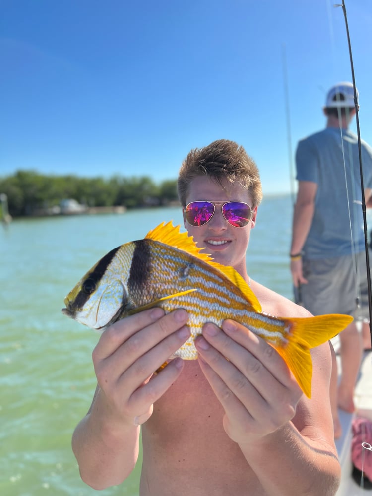 Pine Island Fishing And Shelling In Matlacha