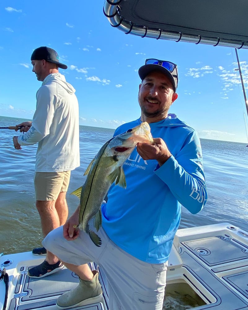 Key Largo Shark Special In Key Largo