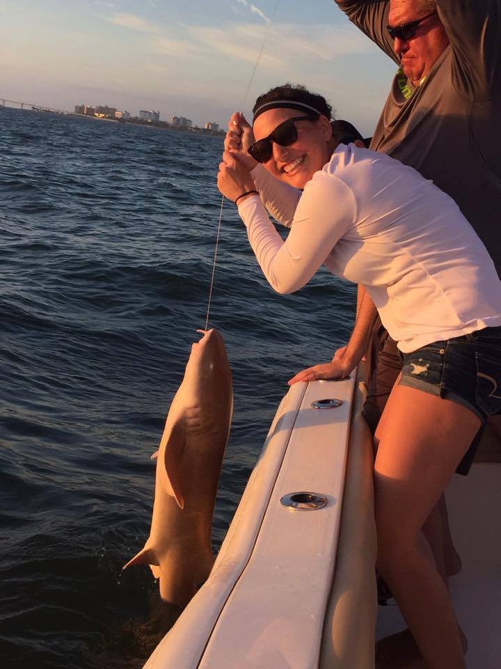 Nearshore Shark Special In Cape Coral