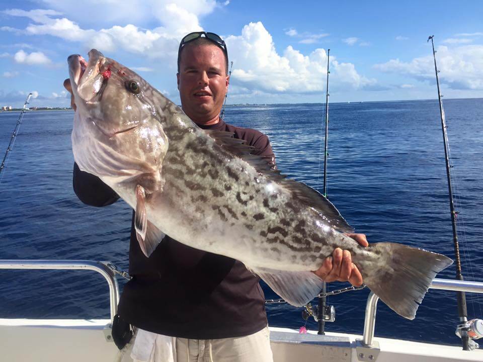 Big Boat Mixed Bag In Lantana