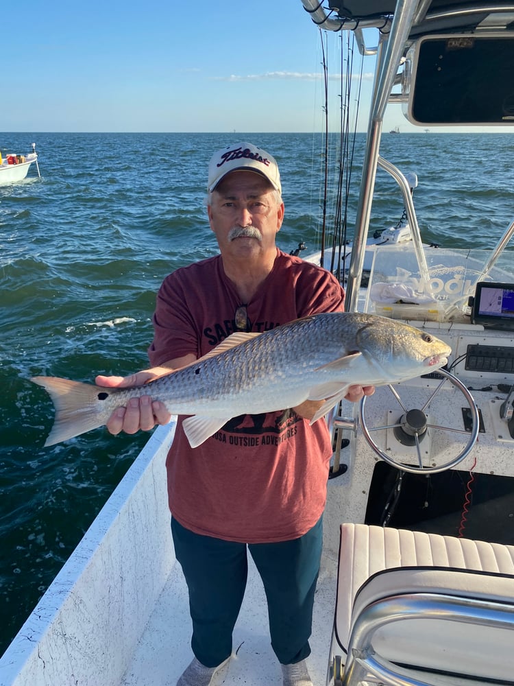 Orange Beach Catch In Gulf Shores