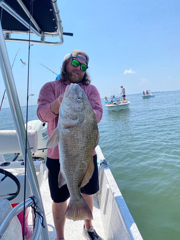 Orange Beach Catch In Gulf Shores