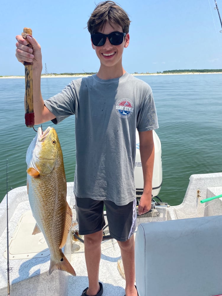 Orange Beach Catch In Gulf Shores