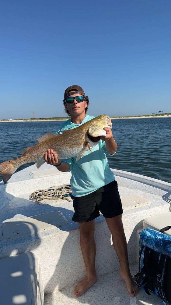 Orange Beach Catch In Gulf Shores