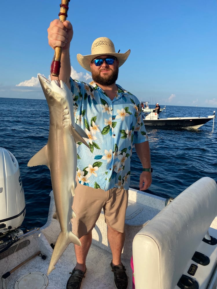 Orange Beach Catch In Gulf Shores