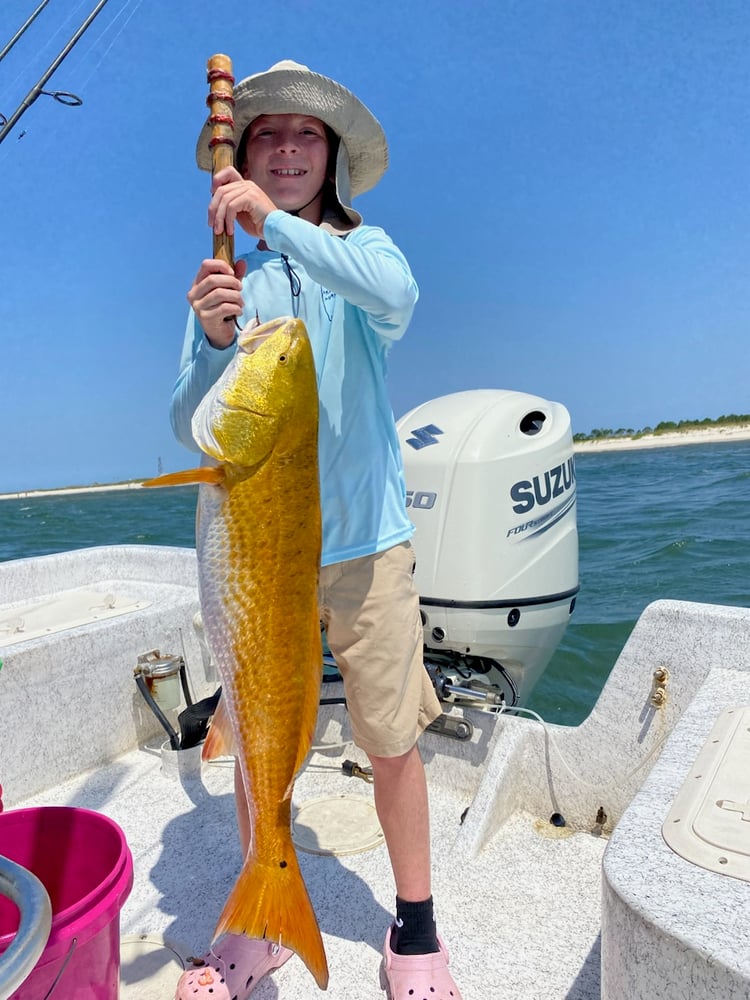 Orange Beach Catch In Gulf Shores