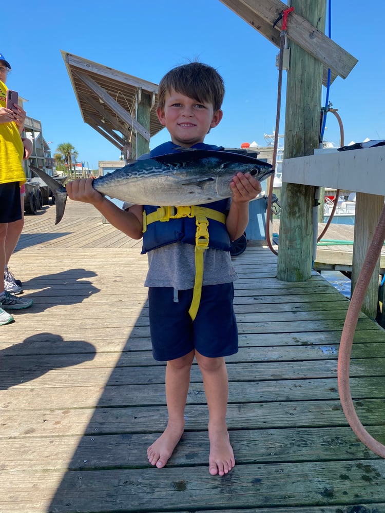 Orange Beach Catch In Gulf Shores