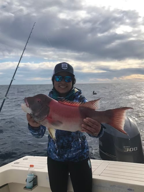 Half Day Inshore/Coastal In San Diego