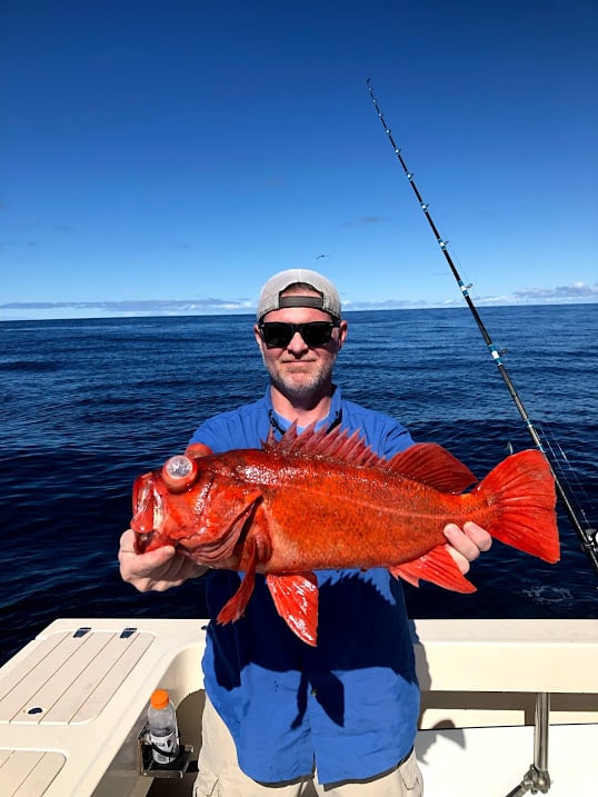 Half Day Inshore/Coastal In San Diego