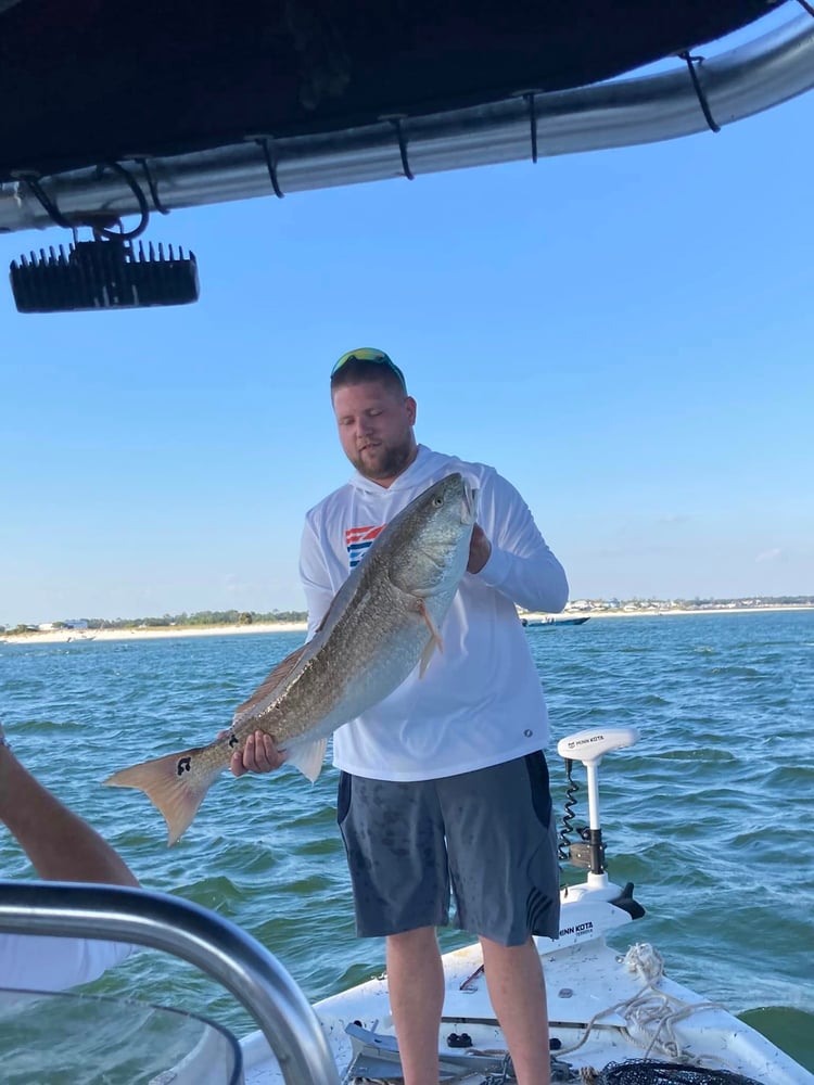 Afternoon Inshore Excitement In Gulf Shores