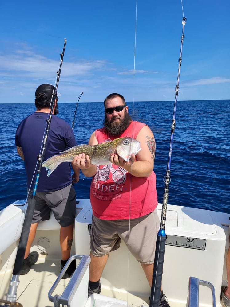 Full Day Bottomfishing Slam In Manteo