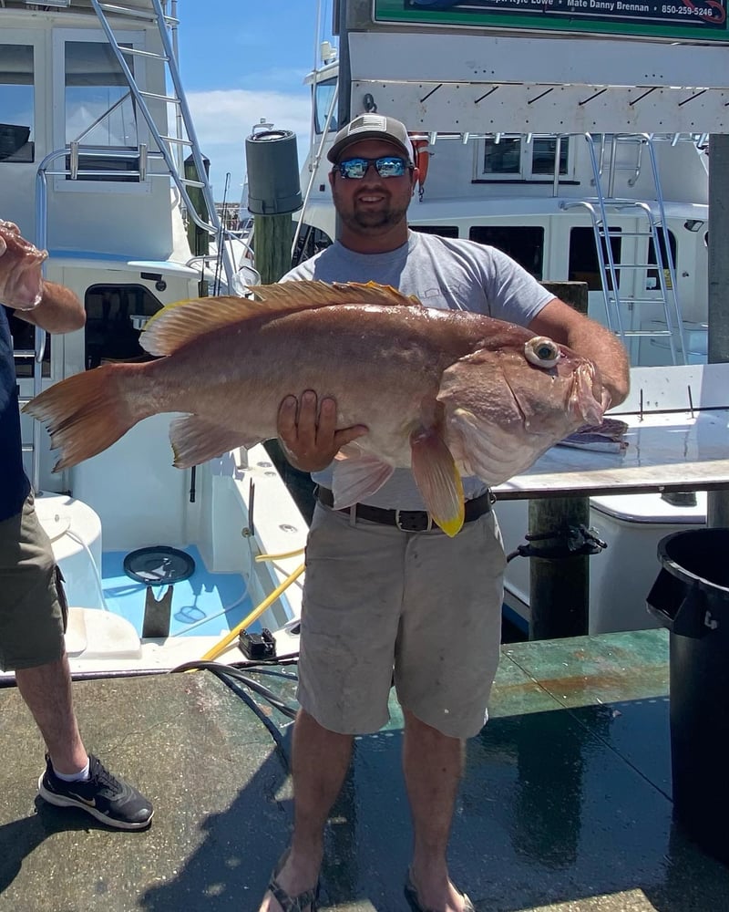 Destin Trolling & Bottom Fishing In Destin