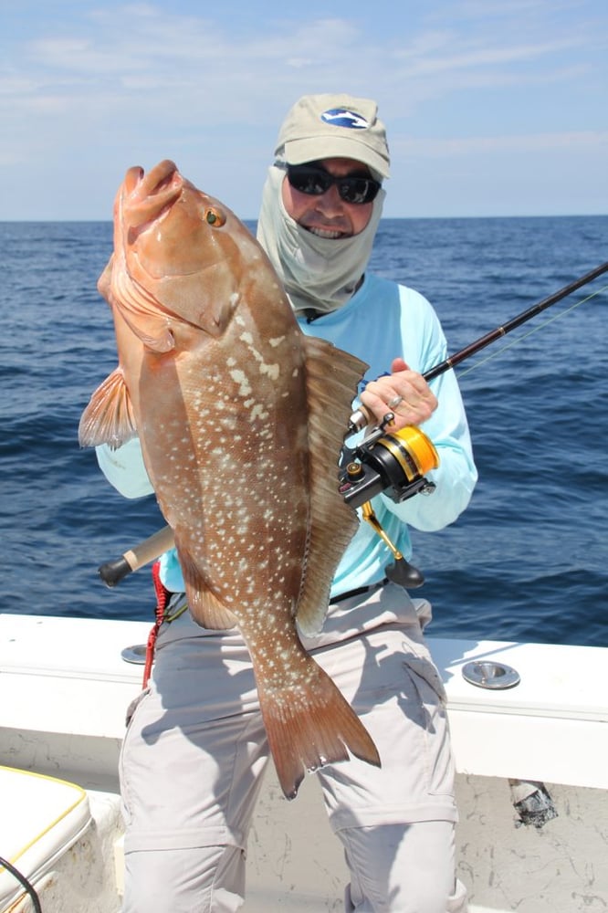 Epic Snapper And Grouper - 28’ In Tierra Verde