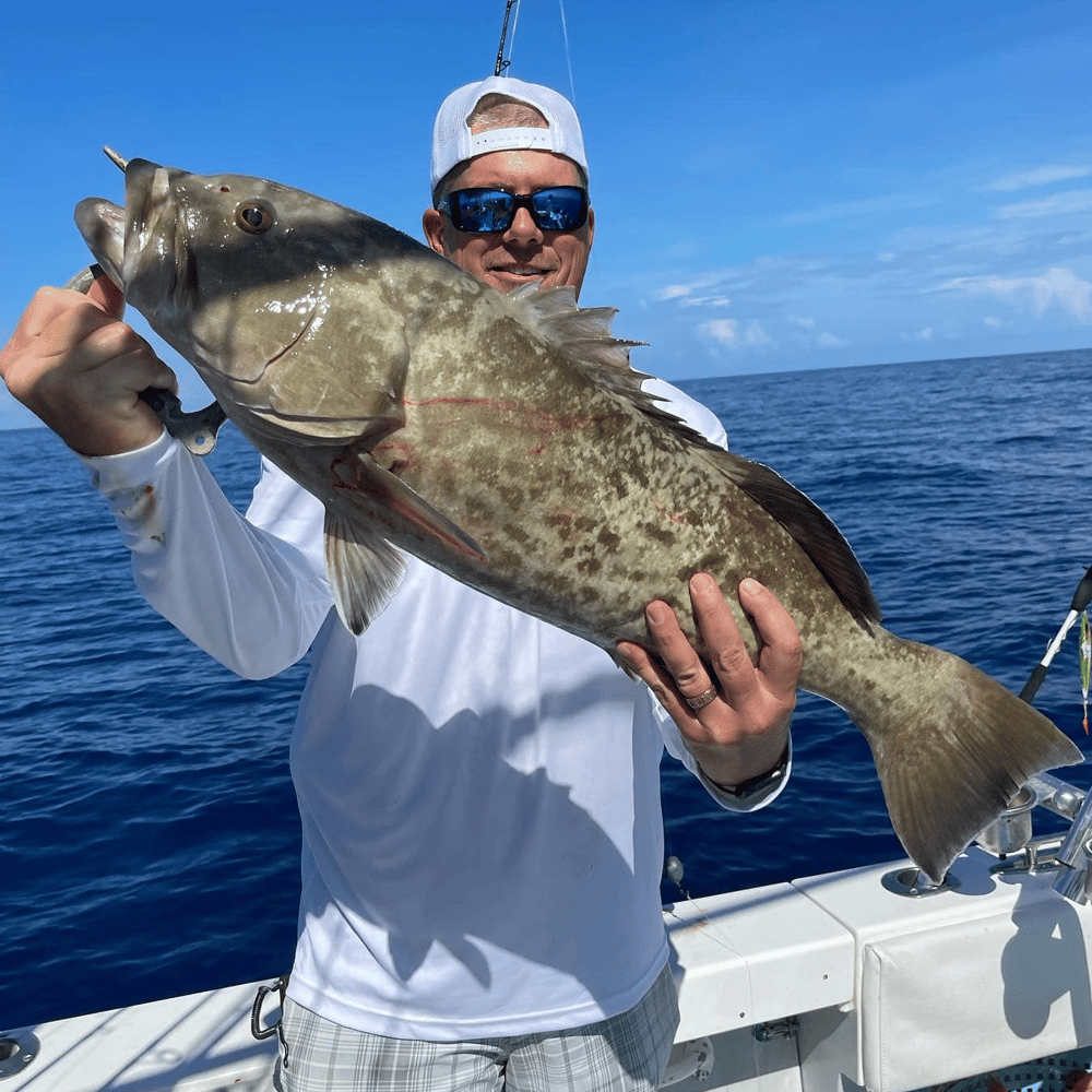 Seriously Epic Snapper & Grouper In Tierra Verde