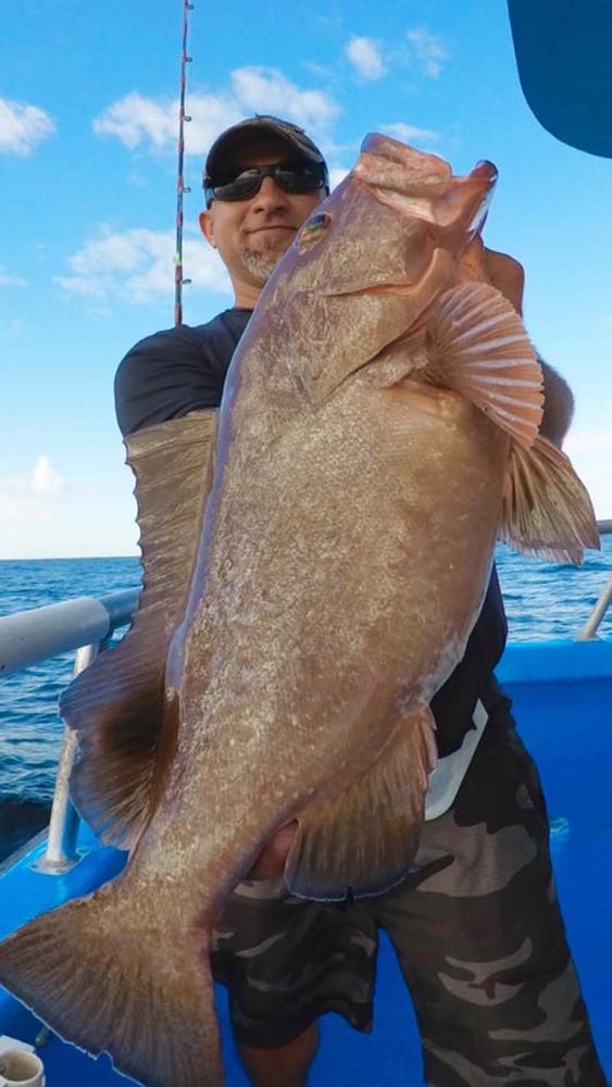 Seriously Epic Snapper & Grouper In Tierra Verde