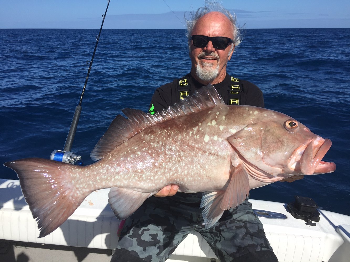 Seriously Epic Snapper & Grouper In Tierra Verde