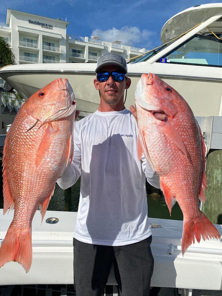 Fed Permitted American Red Snapper In St. Petersburg