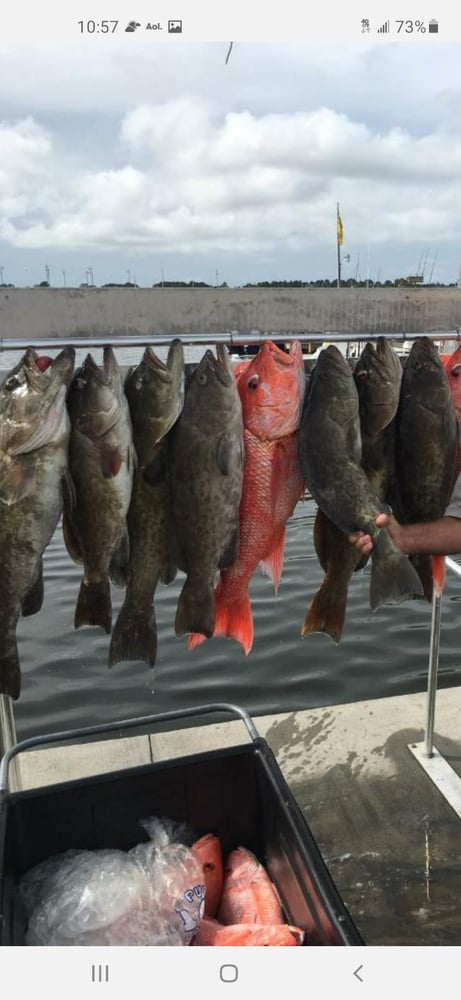 Fed Permitted American Red Snapper In St. Petersburg