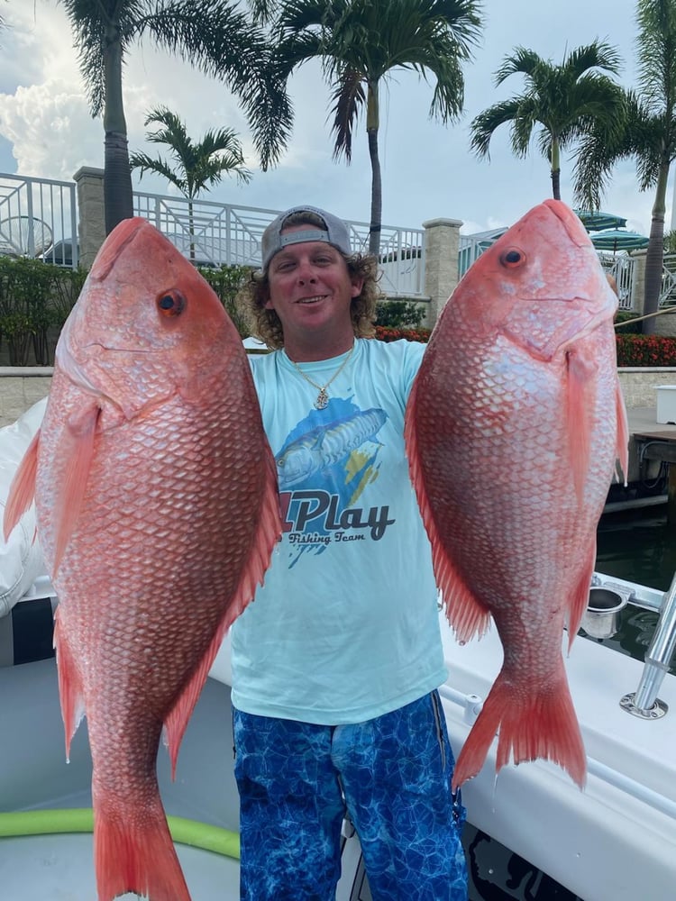 Fed Permitted American Red Snapper In St. Petersburg