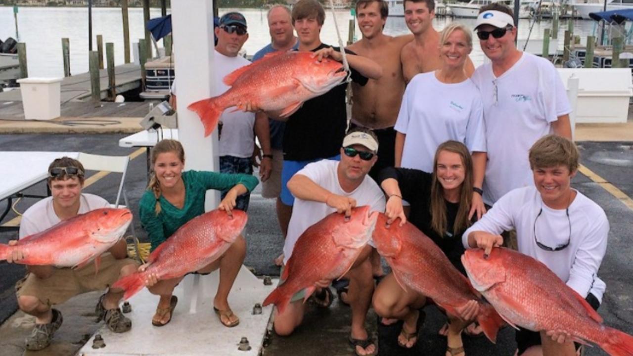 Fed Permitted American Red Snapper In St. Petersburg