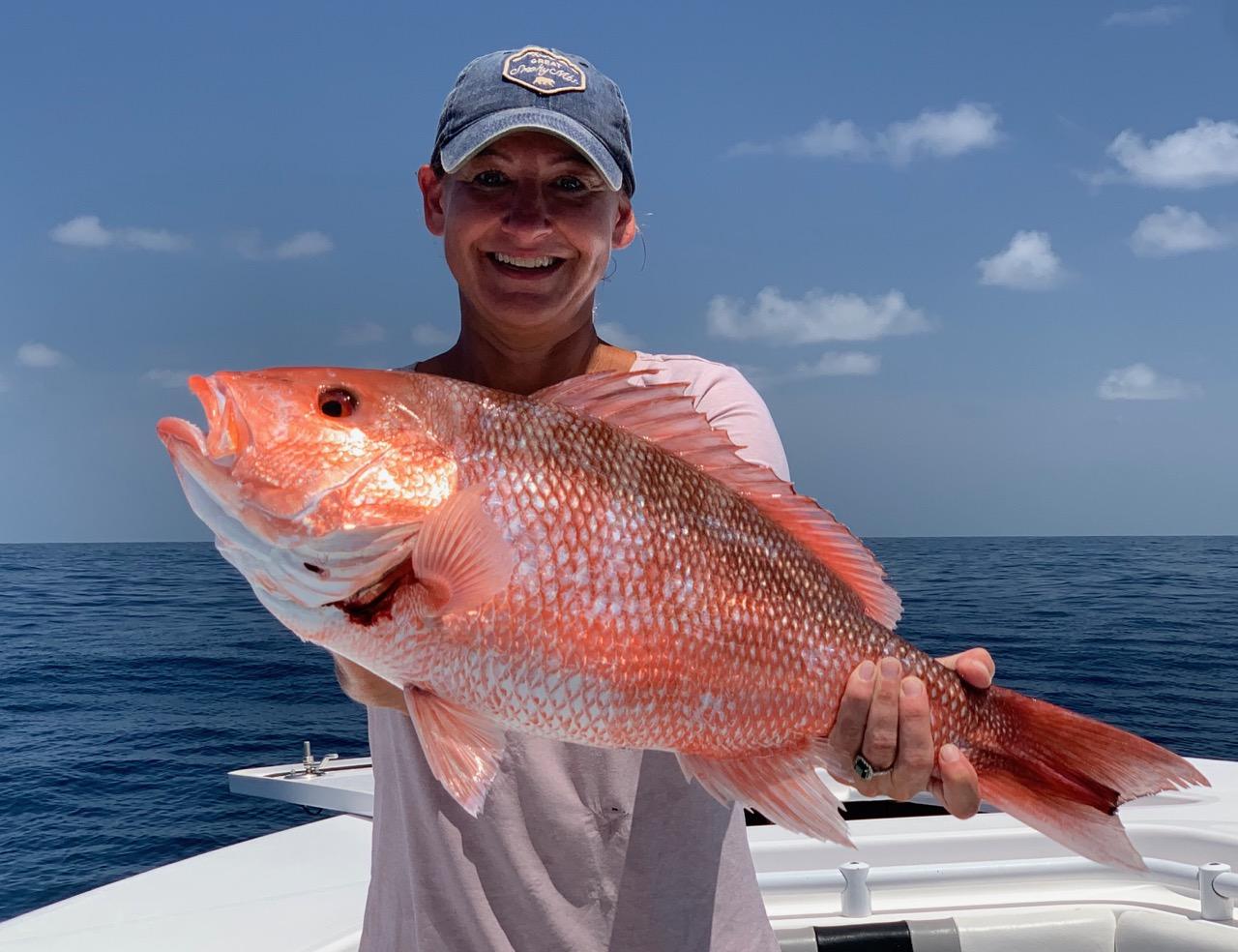 Fed Permitted American Red Snapper In St. Petersburg