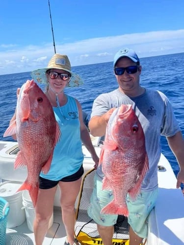 Fed Permitted American Red Snapper In St. Petersburg