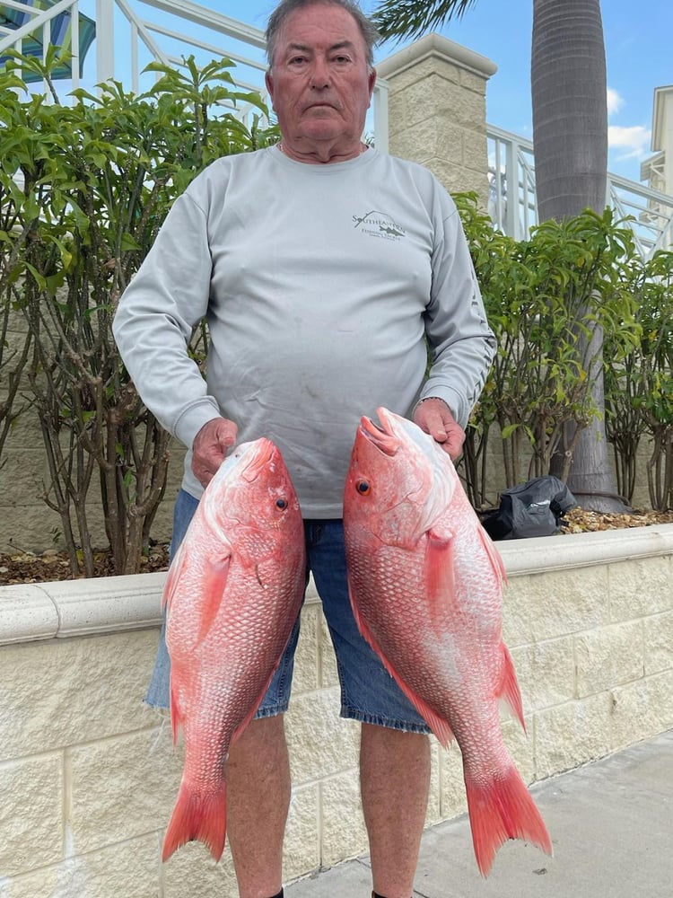 Fed Permitted American Red Snapper In St. Petersburg