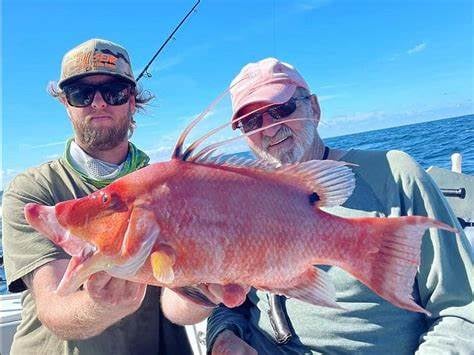 Fed Permitted American Red Snapper In St. Petersburg