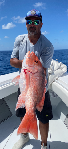 Fed Permitted American Red Snapper In St. Petersburg