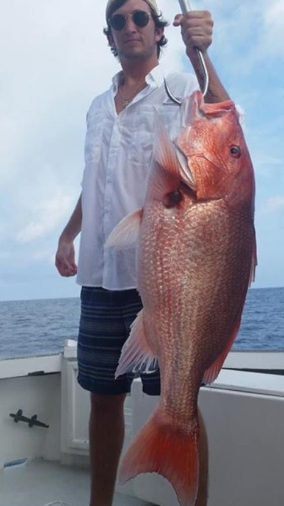 Fed Permitted American Red Snapper In St. Petersburg