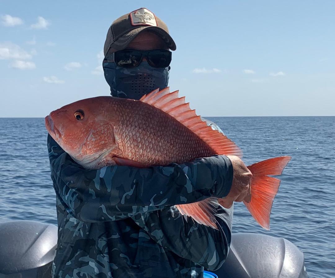 Fed Permitted American Red Snapper In St. Petersburg