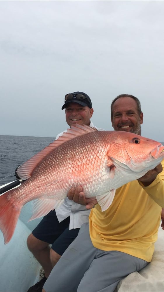 Fed Permitted American Red Snapper In St. Petersburg