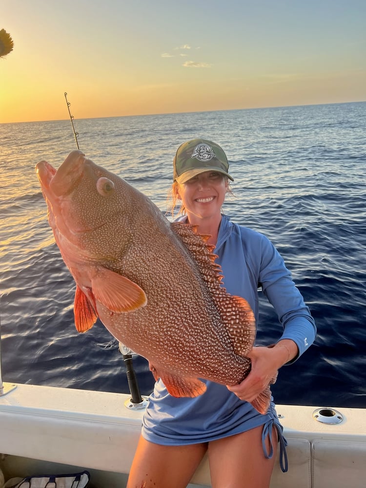 Fed Permitted American Red Snapper In St. Petersburg