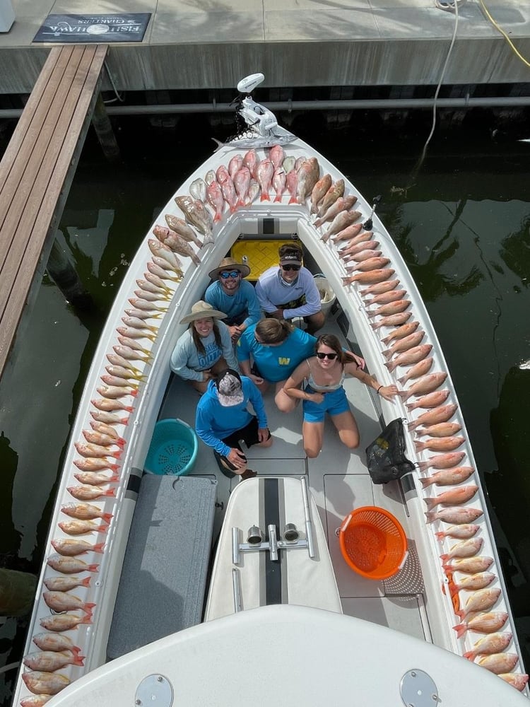 Fed Permitted American Red Snapper In St. Petersburg