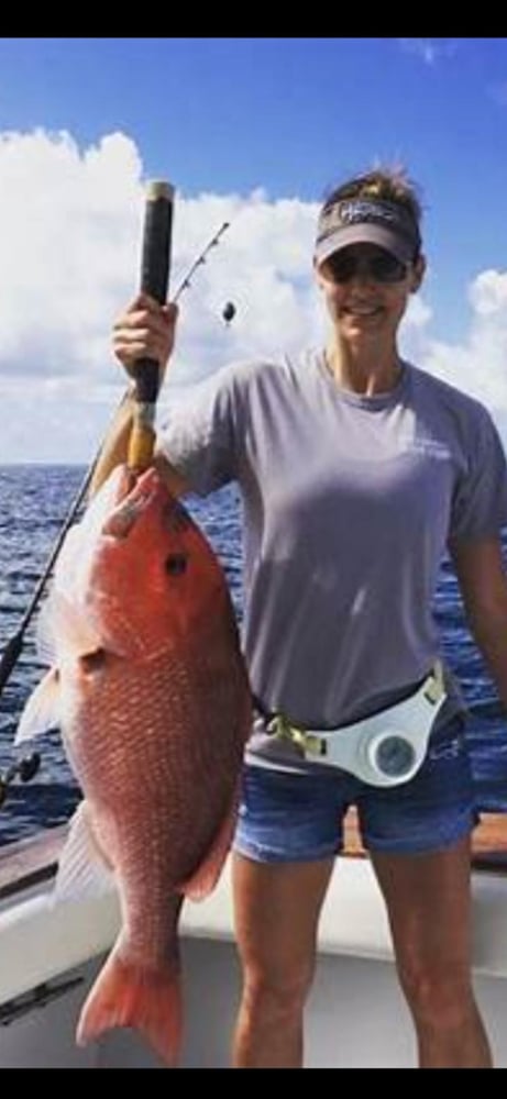 Fed Permitted American Red Snapper In St. Petersburg