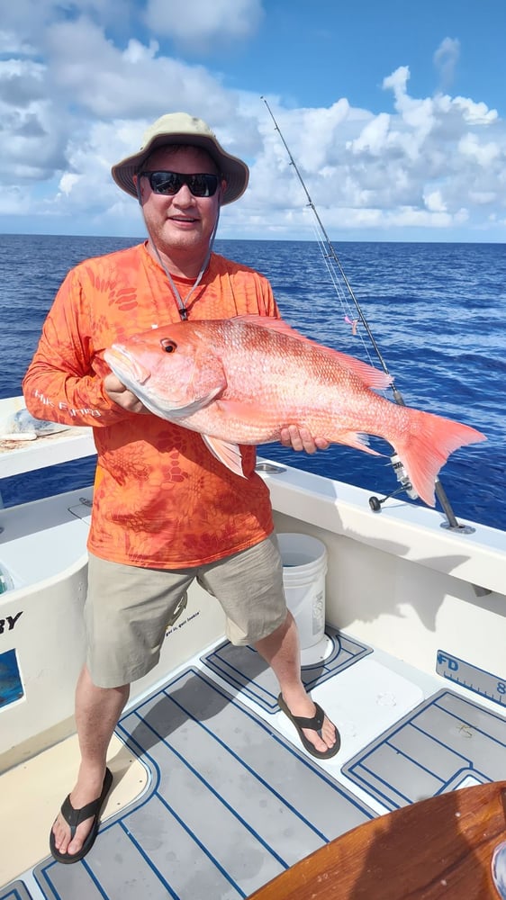 Fed Permitted American Red Snapper In St. Petersburg