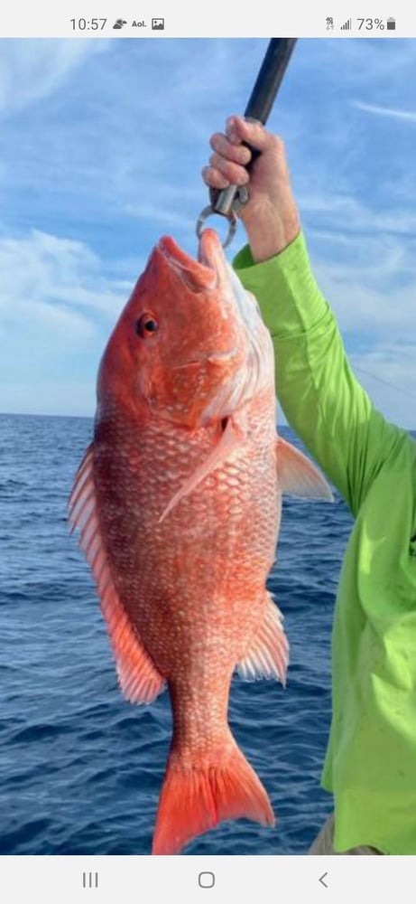 Fed Permitted American Red Snapper In St. Petersburg