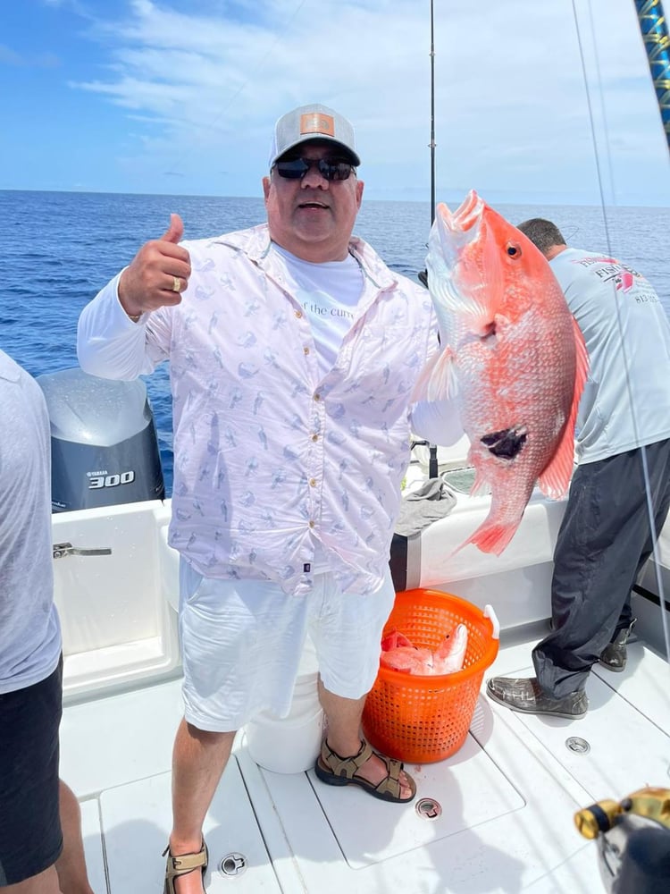 Fed Permitted American Red Snapper In St. Petersburg