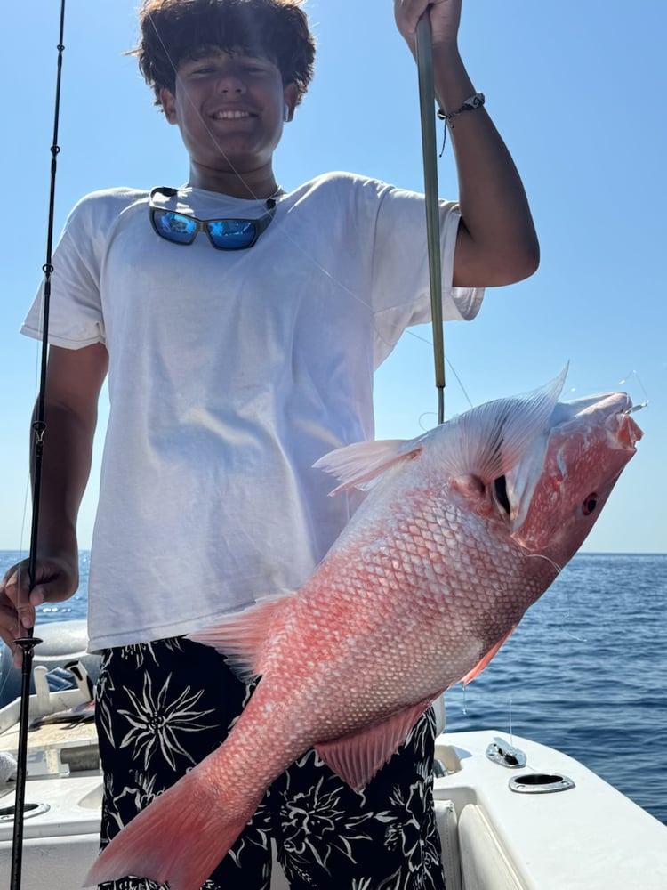 Fed Permitted American Red Snapper In St. Petersburg