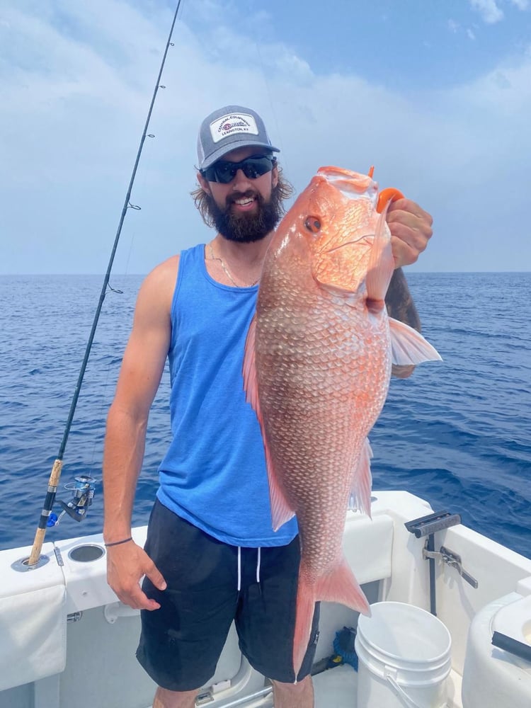 Fed Permitted American Red Snapper In St. Petersburg