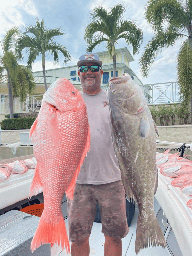 Fed Permitted American Red Snapper In St. Petersburg