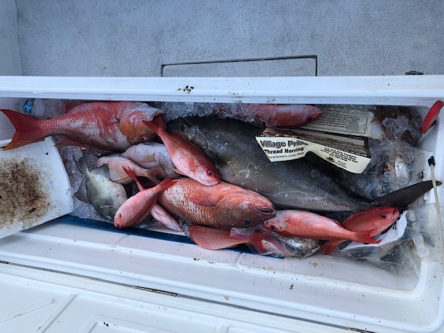 Offshore Hook-Up In St. Augustine