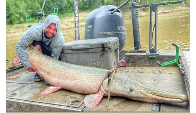 Giant Alligator Gar Adventure In Corsicana