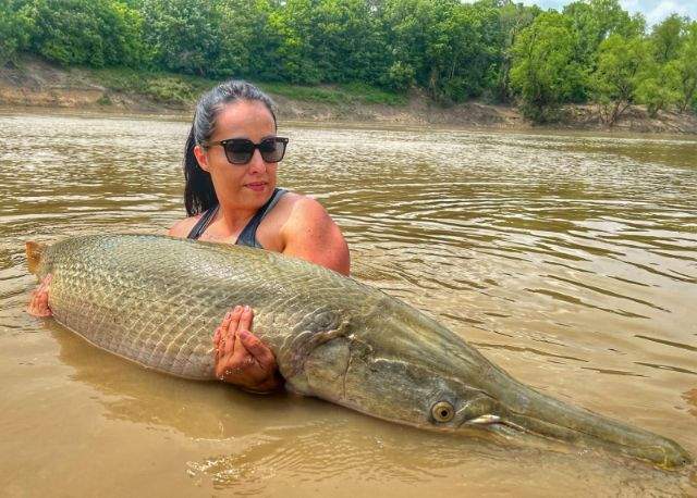 Giant Alligator Gar Adventure In Corsicana