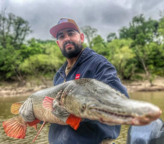 Giant Alligator Gar Adventure In Corsicana