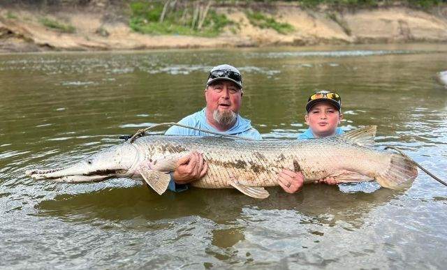 Giant Alligator Gar Adventure In Corsicana