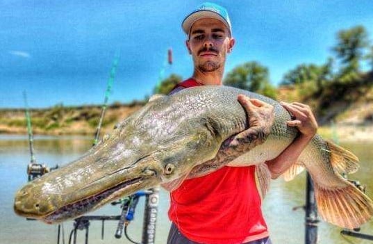 Giant Alligator Gar Adventure In Corsicana